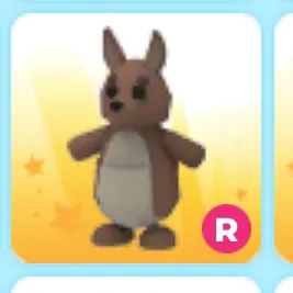 Pet |  R Kangaroo