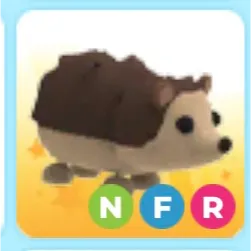 Pet |  NFR hedgehog