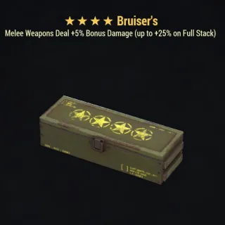 Bruiser's mod box