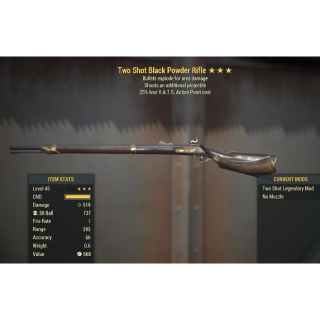 Weapon | Powder Rifle TS/E/25AP - Game Items - Gameflip