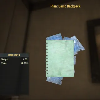 Camo Backpack (PC)