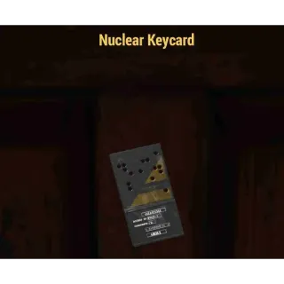 50x Nuclear keycard (PC)