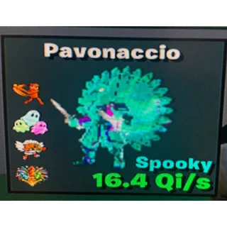 Pavonaccio 4 traits