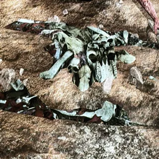 Ritual bone pile