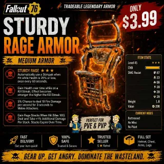 Sturdy Rage Armor | Fast Delivery