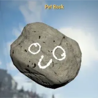 Pet Rock