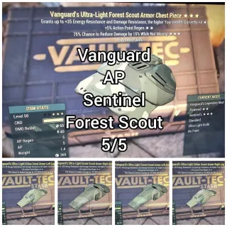 VAN AP SENT FOREST SCOUT