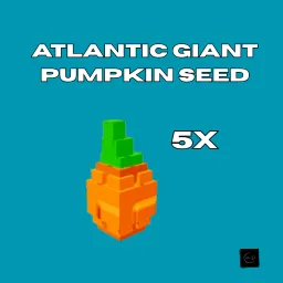 5x Atlantic giant pumpkin seed