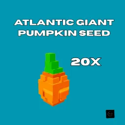 20x Atlantic giant pumpkin seed