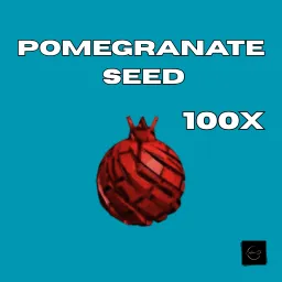 100x Pomegranate  Seed