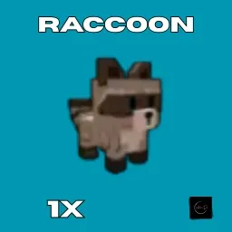 Raccoon