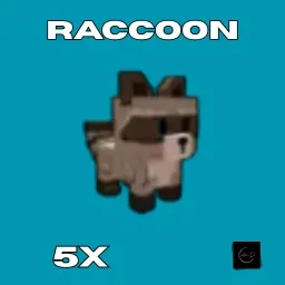 5 Raccoon