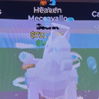 heavenly meccavallo