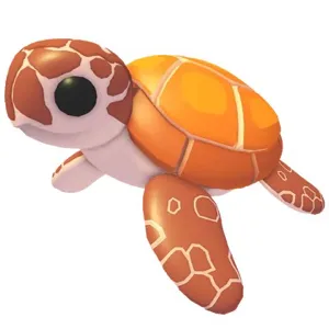 Full grown sea turtle