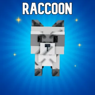 Raccoon