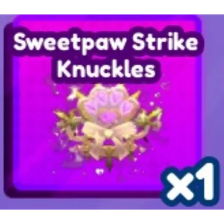 Sweetpaw purse & knuckles- Baddies