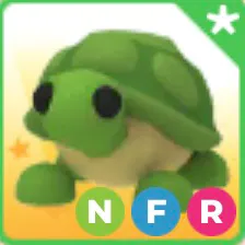 NFR TURTLE