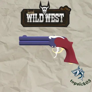 TWW/The wild west Lan