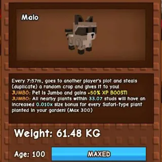 JUMBO RACCOON 60KG - GROW A GARDEN