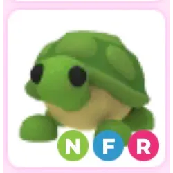 NFR turtle