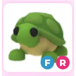 FR turtle