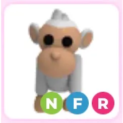 NFR albino monkey