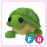 FR turtle