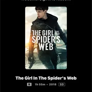 THE GIRL IN THE SPIDER’S WEB 