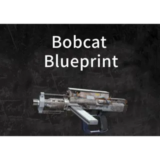 Arc Raiders-Bobcat Blueprint- Limited Time Offer