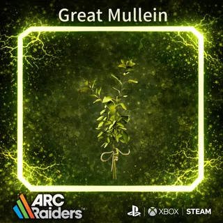 Great Mullein *20    ARC Raiders | Most Affordable Price | Fast & Safe Delivery | 24/7 Support