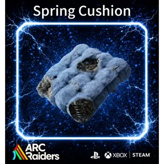 Spring Cushion *3   ARC Raiders | Most Affordable Price | Fast & Safe Delivery | 24/7 Support