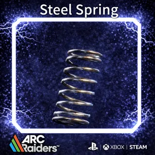 Steel Spring*15  ARC Raiders | Most Affordable Price | Fast & Safe Delivery | 24/7 Support