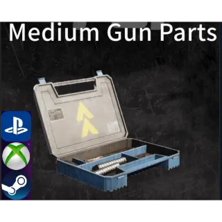 Arc Raiders-Medium Gun Parts  * 20