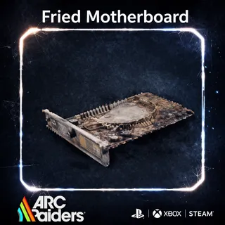 Fried Motherboard*3   ARC Raiders | Most Affordable Price | Fast & Safe Delivery | 24/7 Support
