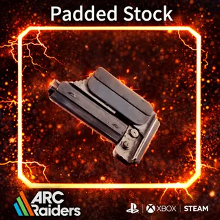 Padded Stock*15  ARC Raiders | Most Affordable Price | Fast & Safe Delivery | 24/7 Support
