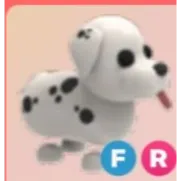 FR Dalmatian | Adopt me | Cheapestt