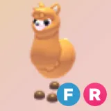 FR Alpaca| Adopt Me! | Cheapest