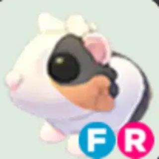 FR Tortoiseshell Guinea Pig | Adopt me! | Cheapest