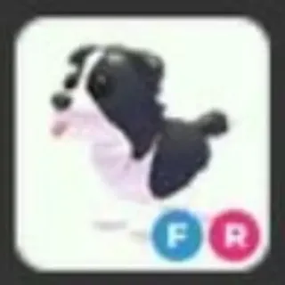 FR Border Collie | Adopt Me! | Cheapest
