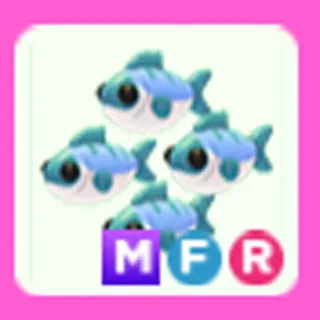 MFR MANY MACKEREL