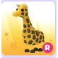 giraffe r