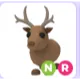 REINDEER NR