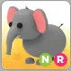 Pet | elephant nr