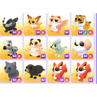 bundle mega pet 12x cheap