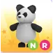 panda nr