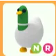 Pet | silly duck nr