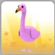 Pet | flamingo 