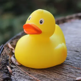4x Rubber Ducky  - Adopt Me!