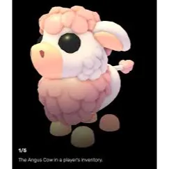 16x Angus cow