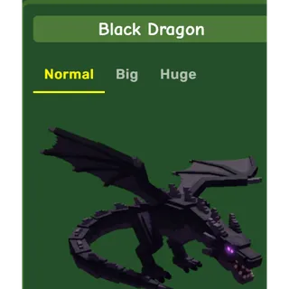 BLACK DRAGON GAG 2
